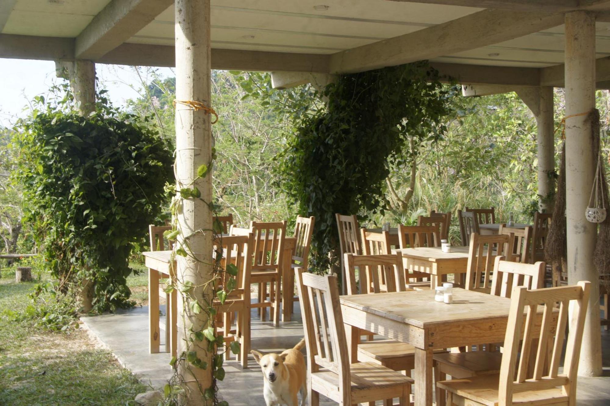 Hostal Vista Verde Минка Экстерьер фото